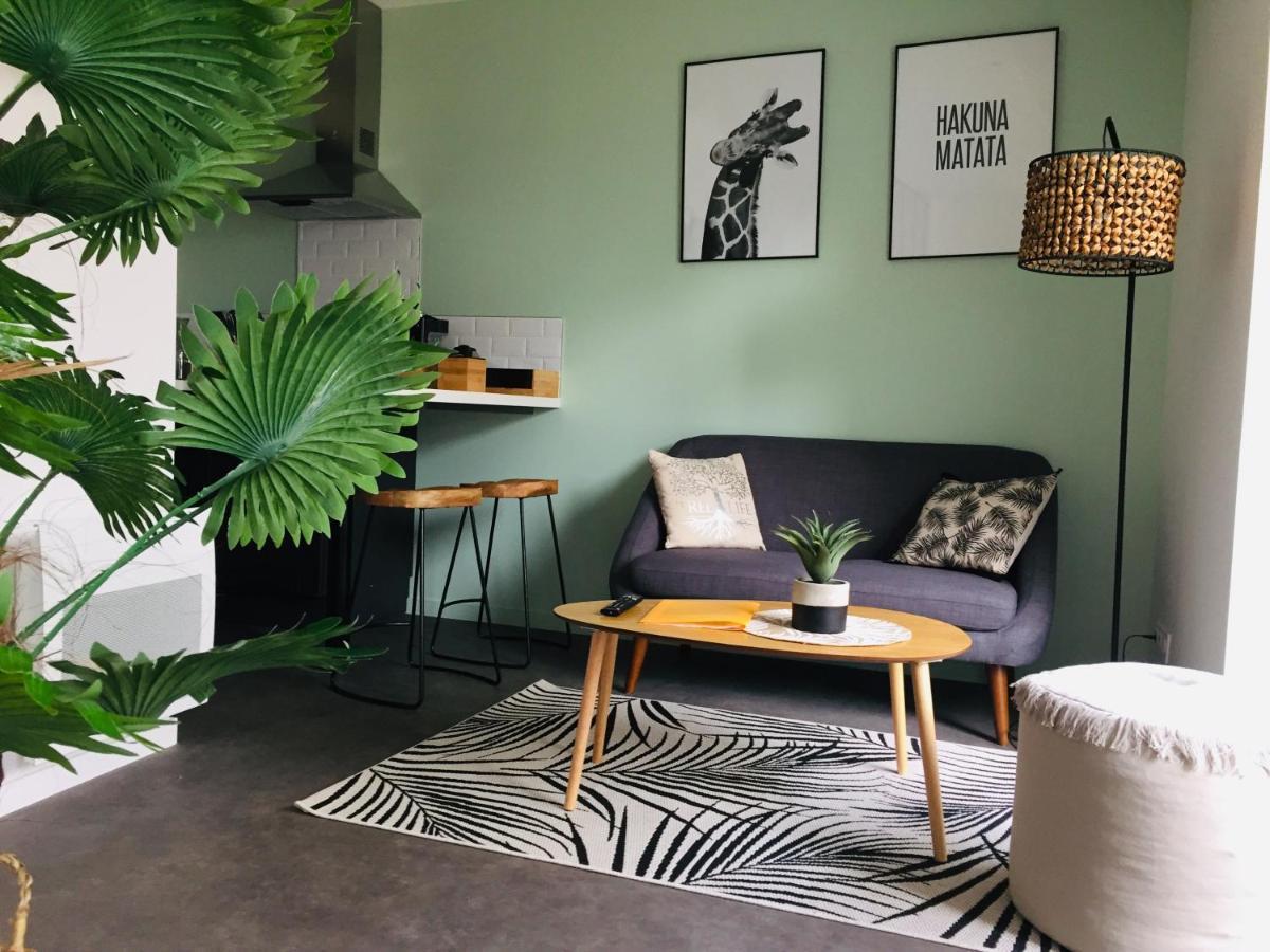Grand Studio Avec Terrasse Proche De L'Hypercentre De לוריין מראה חיצוני תמונה